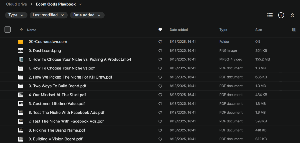Ecom Gods Playbook By Coltybrah & Saint Dici