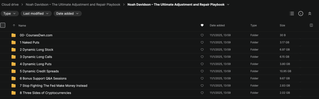 Noah Davidson – The Ultimate Adjustment and Repair Playbook