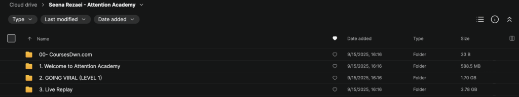 Seena Rezaei – Attention Academy